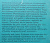 Main Currents in Sociological Thought 1 | Raymond Aron