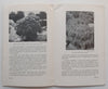 Dwarf Conifers | H. G. Hillier & E. E. Kemp