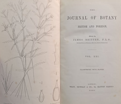 The Journal of Botany, British and Foreign (Vol. 21, Published 1883) | James Britten (Ed.)