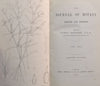 The Journal of Botany, British and Foreign (Vol. 21, Published 1883) | James Britten (Ed.)