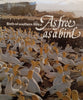 As Free as a Bird: Birds of Southern Africa (Movingly Inscribed by Author) | Peter Johnson