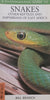A Photographic Guide to Snakes, Other Reptiles and Amphibians of East Africa | Bill Branch