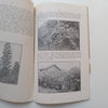 Some Notes on Tree-Planting with Special Reference to Natal (Published 1934, please see description) | N. L. King