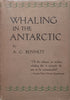 Whaling in the Antarctic | A. G. Bennett