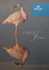 Birdlife South Africa: A Feathership of Partners&nbsp;