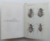 Monograph of the Tenebrionidae of Southern Africa, Vol. 1 | C. Koch
