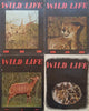 4 Issues of Wildlife, Official Journal of the Kenya Wild Life Society (Vol. 1, Nos. 1-4)