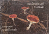 Mushrooms and Toadstools (English/Afrikaans Dual-Language Edition) | G. C. A van der Westhuizen