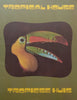 Port Elizabeth Tropical House (Afrikaans/English Text)