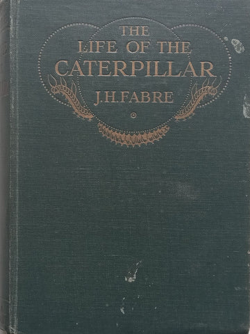 The Life of the Caterpillar (Published 1912) | J. Henri Fabre