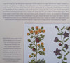Stumpwork Medieval Flora | Jane Nicholas