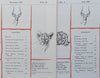 4 Issues of Wildlife, Official Journal of the Kenya Wild Life Society (Vol. 1, Nos. 1-4)