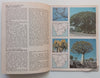 Know Your Trees: A Selection of Indigenous South African Trees