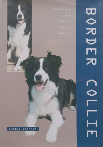 Border Collie | Esther Verhoef