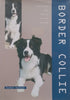 Border Collie | Esther Verhoef