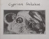 Cyprian Shilakoe: Catalogue to Accompany the Exhibition