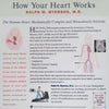 How Your Heart Works | Ralph M. Meyrson