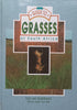 Guide to Grasses of South Africa (With 7 Samples of Grasses Loosely Inserted) | Frits van Oudtshoorn