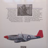 The Multi-Role P-51 Mustang (Aircraft of the Aces Series) | Jerry Scuts