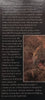 Leopards (Signed by Author) | Gerald Hinde