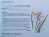 The Evergreen South African Diary (Signed by Author) | Susan Paramore Weyers