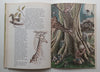 The Secret of the Sycamore Tree | Sue Hart & Lesley Luitingh