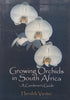 Growing Orchids in South Africa: A Gardener’s Guide | Hendrik Venter