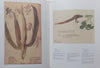 Der Mond als Schuh/The Moon as Shoe: Drawings of the San (English/German Text) | Miklos Szalay (Ed.)