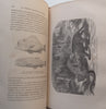 La Terre avant Le Deluge (5th Edition, Published 1866, French) | Louis Figuier
