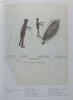 Der Mond als Schuh/The Moon as Shoe: Drawings of the San (English/German Text) | Miklos Szalay (Ed.)