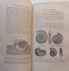La Terre avant Le Deluge (5th Edition, Published 1866, French) | Louis Figuier