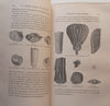 La Terre avant Le Deluge (5th Edition, Published 1866, French) | Louis Figuier