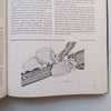 Insects and Mites of Cultivated Plants in South Africa | D. P. Annecke & V. C. Moran