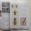Pollen Wasps and Flowers in Southern Africa | Sarah K. Gess & Friedrich W. Gess