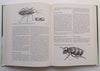 Insects and Mites of Cultivated Plants in South Africa | D. P. Annecke & V. C. Moran