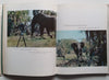 Gorongosa: Shooting Big Game with a Camera | Joao Augusto Silva