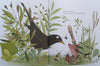 A Song of Gladness: A Story of Hope for Us and Our Planet | Michael Morpurgo & Emily Gravett