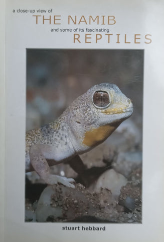 A Close-Up View of the Namib and some of its Fascinating Reptiles | Stuart Hebbard