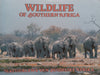 Wildlife of Southern Africa (Afrikaans/English Text)