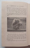 The Morphology and Evolution of the Apes and Man (Published 1924) | Charles F. Sonntag