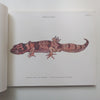 A Colored Atlas of Some Vertebrates from Ceylon, Vol. 2: Tetrapod Reptilia | P. E. P. Deraniyagala