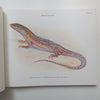 A Colored Atlas of Some Vertebrates from Ceylon, Vol. 2: Tetrapod Reptilia | P. E. P. Deraniyagala