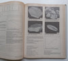 Platinum-Group Elements: Mineralogy, Geology, Recovery | Louis J. Cabri (Ed.)