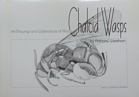 Ink Drawings and Watercolours of African Chalcid Wasps (Limited Edition, Scarce) | Anthony Watson & Gerhard Prinsloo