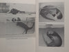 The True Story of Okee the Otter | Dorothy Wisbeski