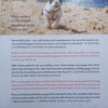 The French Bulldog Handbook | Linda Whitwam
