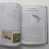 Astronomy Delights (Limited Edition) | Magda Streicher