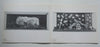 Eight Sculptors (Catalogue to Accompany the Exhibition)