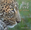 The Big Five of Africa | Gerald Hine