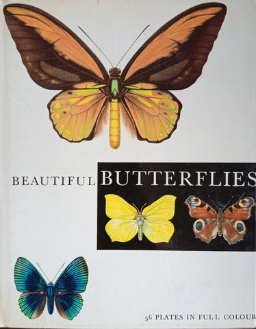 Beautiful Butterflies | J. Moucha and F. Prochazka